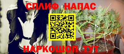 МДПВ Рязань