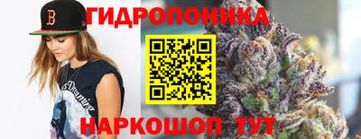 мдпв Рыбинск