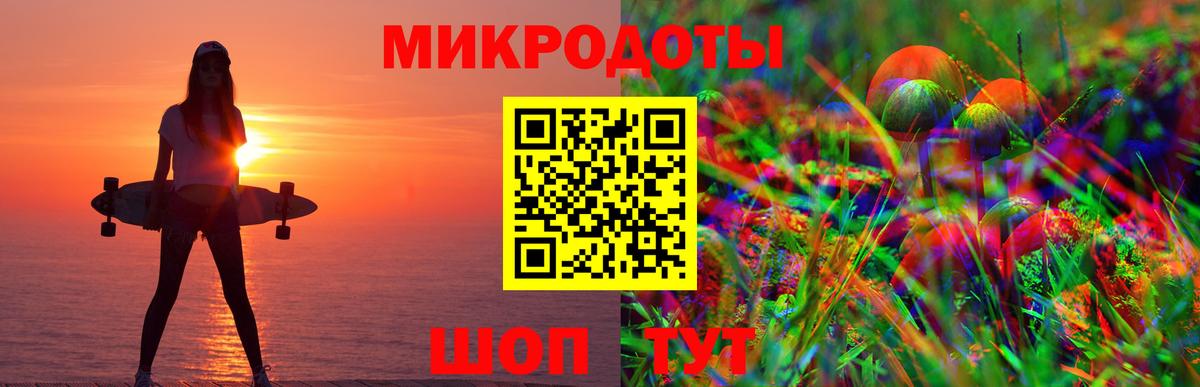 Тавда  Псилоцибиновые грибы Psilocybe  Вход с VPN 