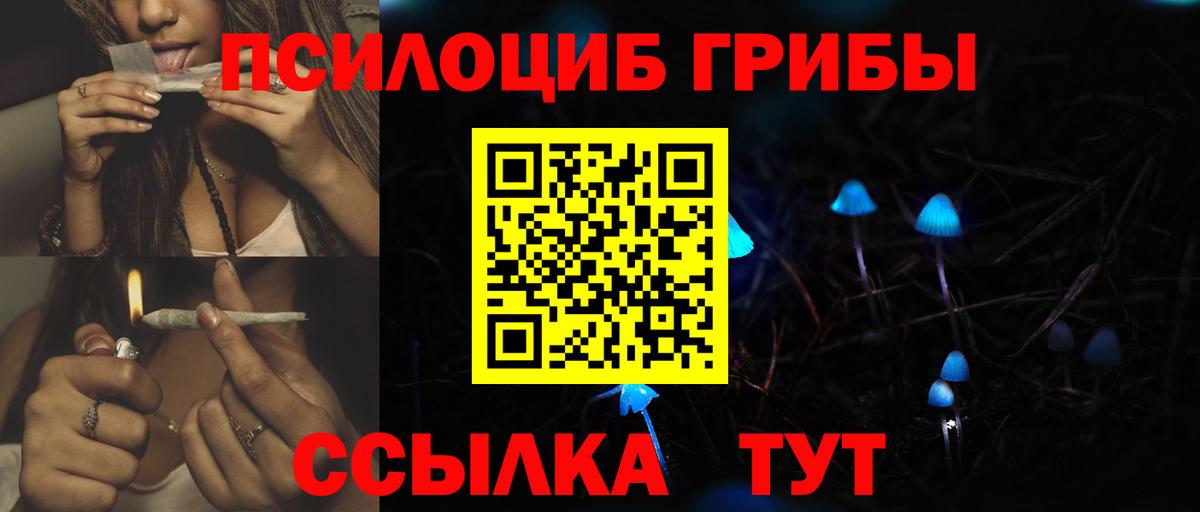 Псилоцибиновые грибы Cubensis Тавда